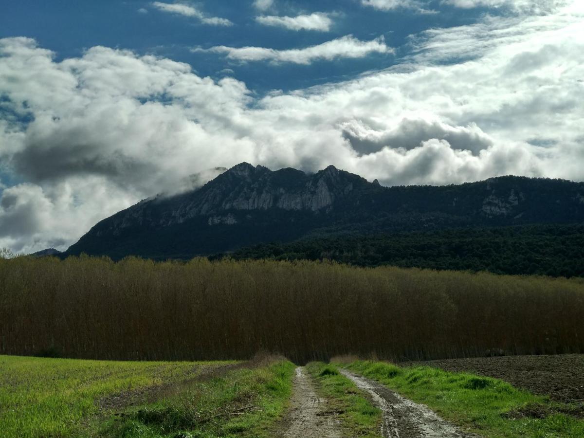 Casa Rural Madera Y Sal アニャナ エクステリア 写真